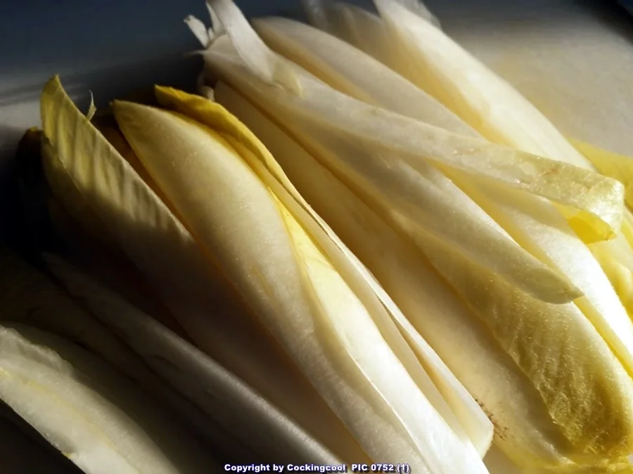 Sautierter Chicoree - Rezept - Bild Nr. 7026