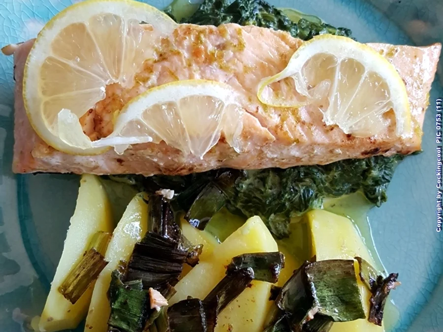 Lachs an Käse-Creme-Spinat und Salzkartoffel - Rezept - Bild Nr. 7025