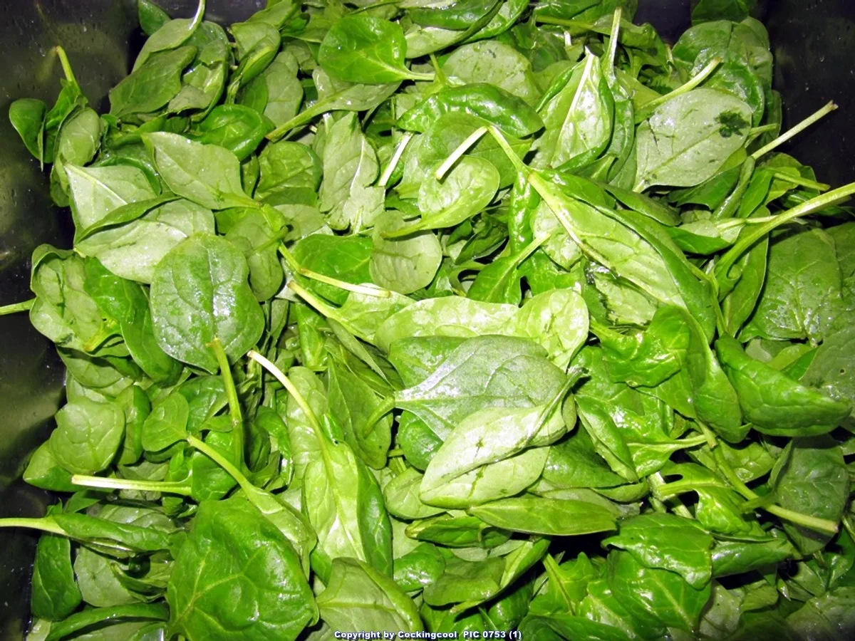 Lachs an Käse-Creme-Spinat und Salzkartoffel - Rezept - Bild Nr. 7031