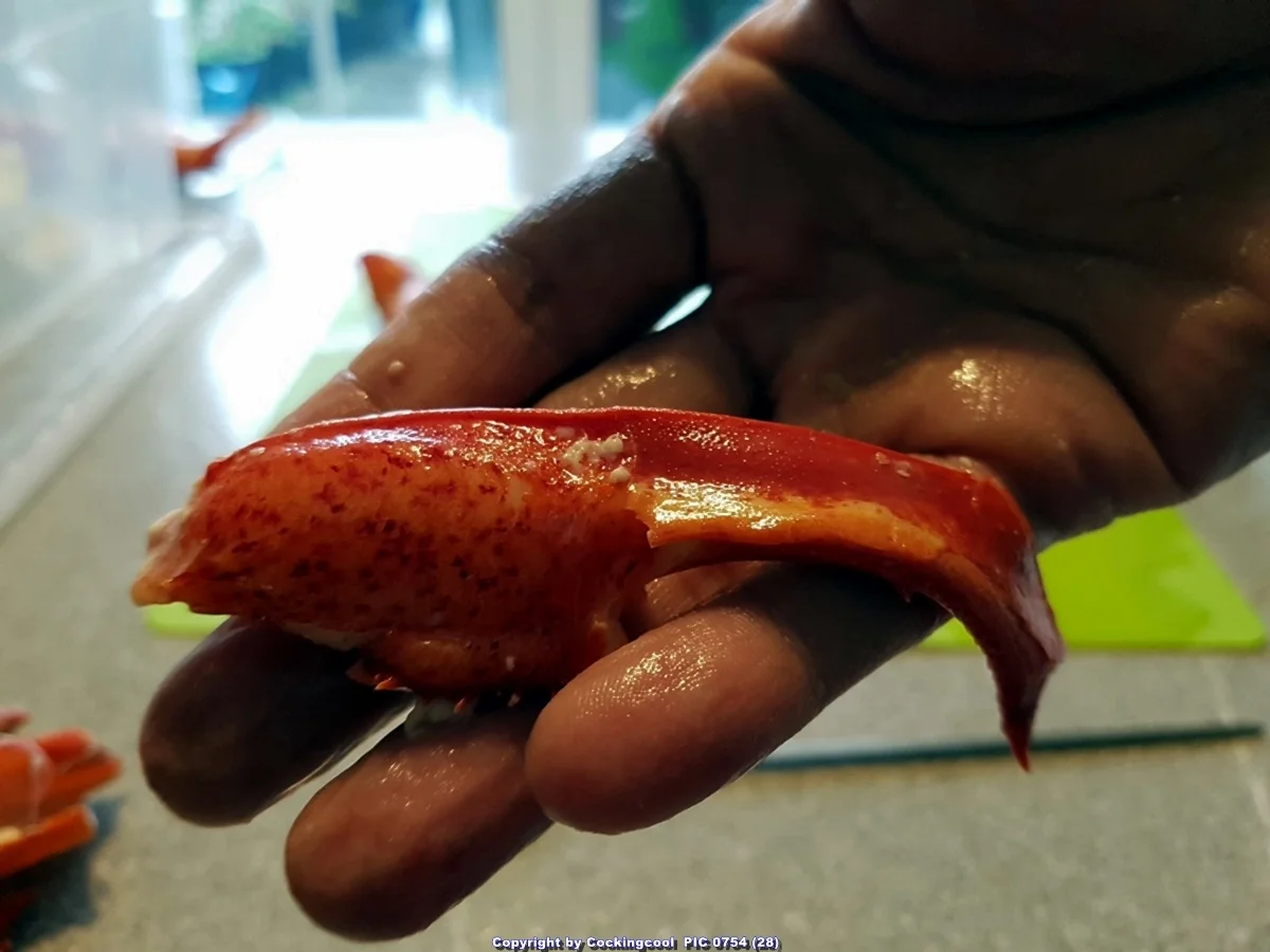 Rezept: Hummer (Lobster) Gratiniert à la Thermidor Bild Nr. 7050 Hummer (Lobster) Gratiniert à la Thermidor - Rezept - Bild Nr. 7050