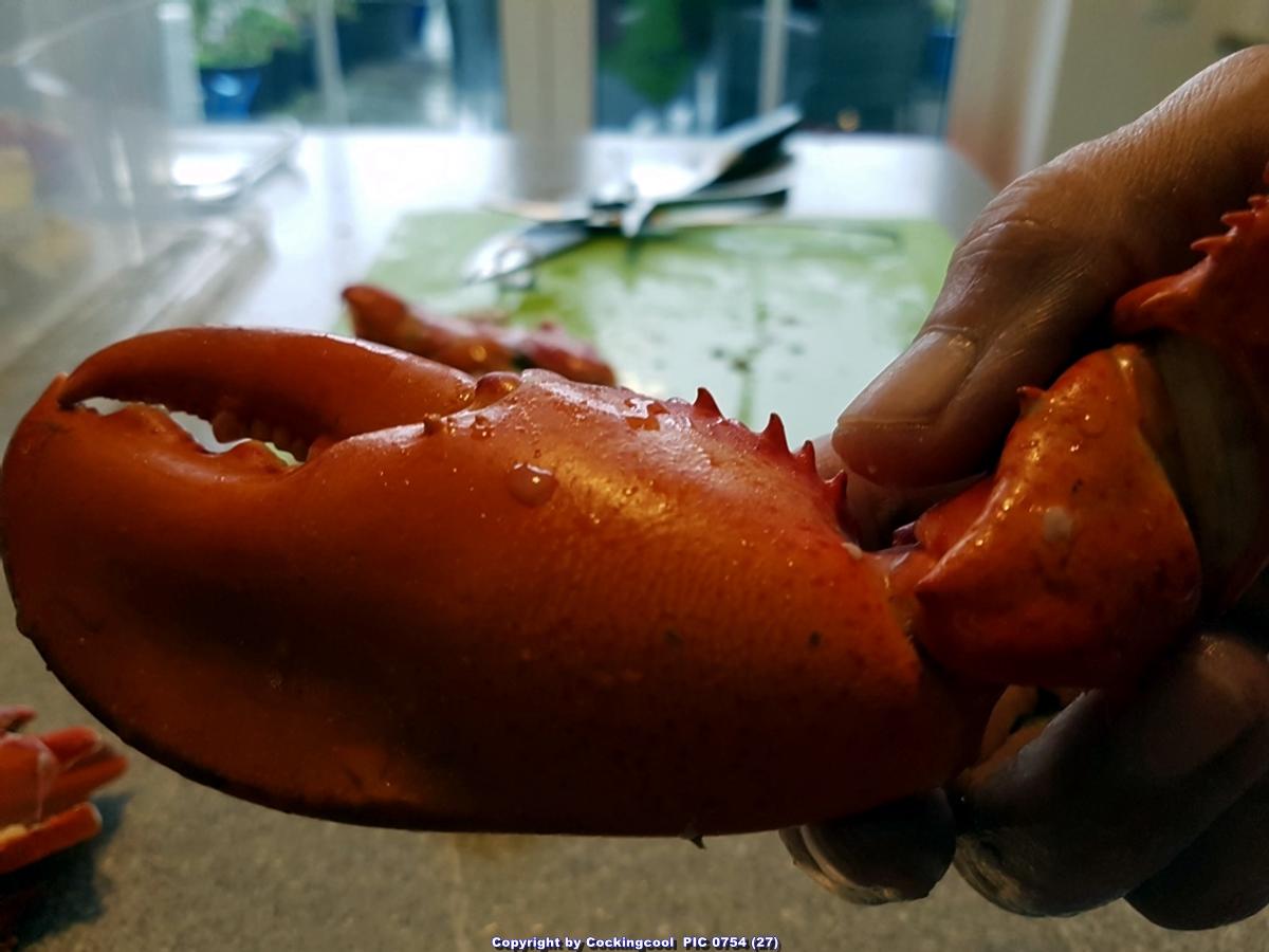 Hummer (Lobster) Gratiniert à la Thermidor - Rezept - Bild Nr. 7052