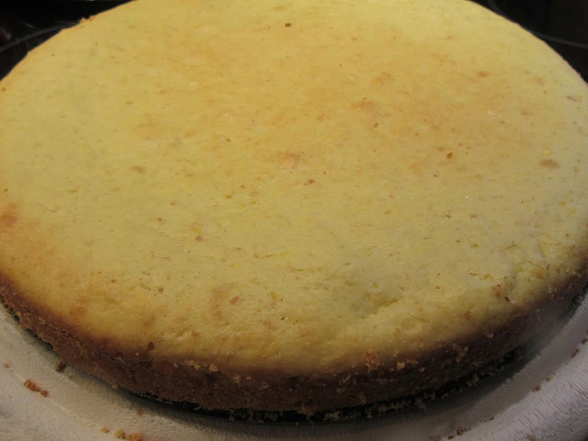 Backen: Fruchtiger Orangenkuchen - Rezept - Bild Nr. 7033