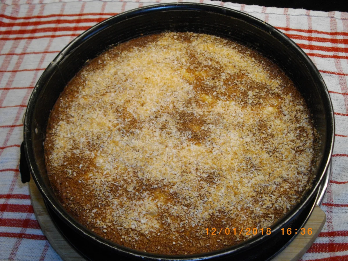 Rezept: Schlanker Kokos - Ananas Saftkuchen Bild Nr. 7040 Schlanker Kokos - Ananas Saftkuchen - Rezept - Bild Nr. 7040