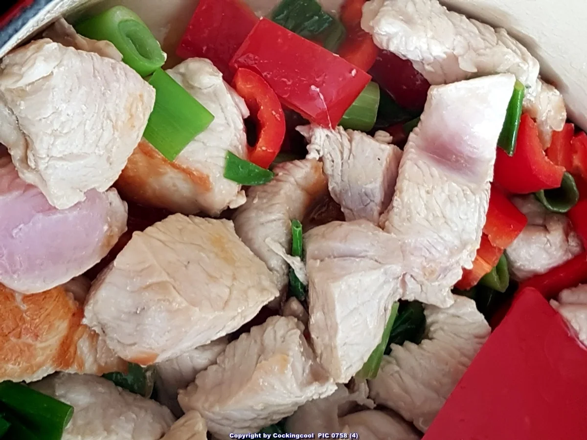 Putengulasch - Rezept - Bild Nr. 7086