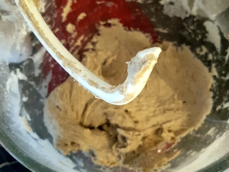 Roggenmischbrot (80% Roggenanteil) - Rezept - Bild Nr. 7083