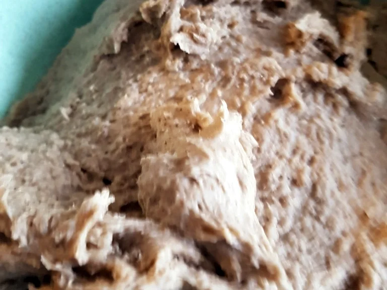 Roggenmischbrot (80% Roggenanteil) - Rezept - Bild Nr. 7084