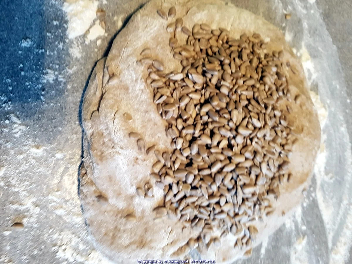 Roggenmischbrot (80% Roggenanteil) - Rezept - Bild Nr. 7086