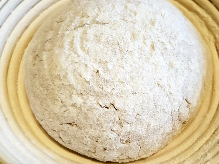 Roggenmischbrot (80% Roggenanteil) - Rezept - Bild Nr. 7087