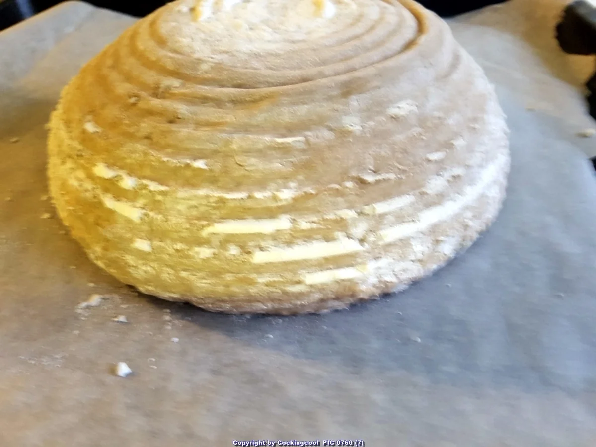 Roggenmischbrot (80% Roggenanteil) - Rezept - Bild Nr. 7088