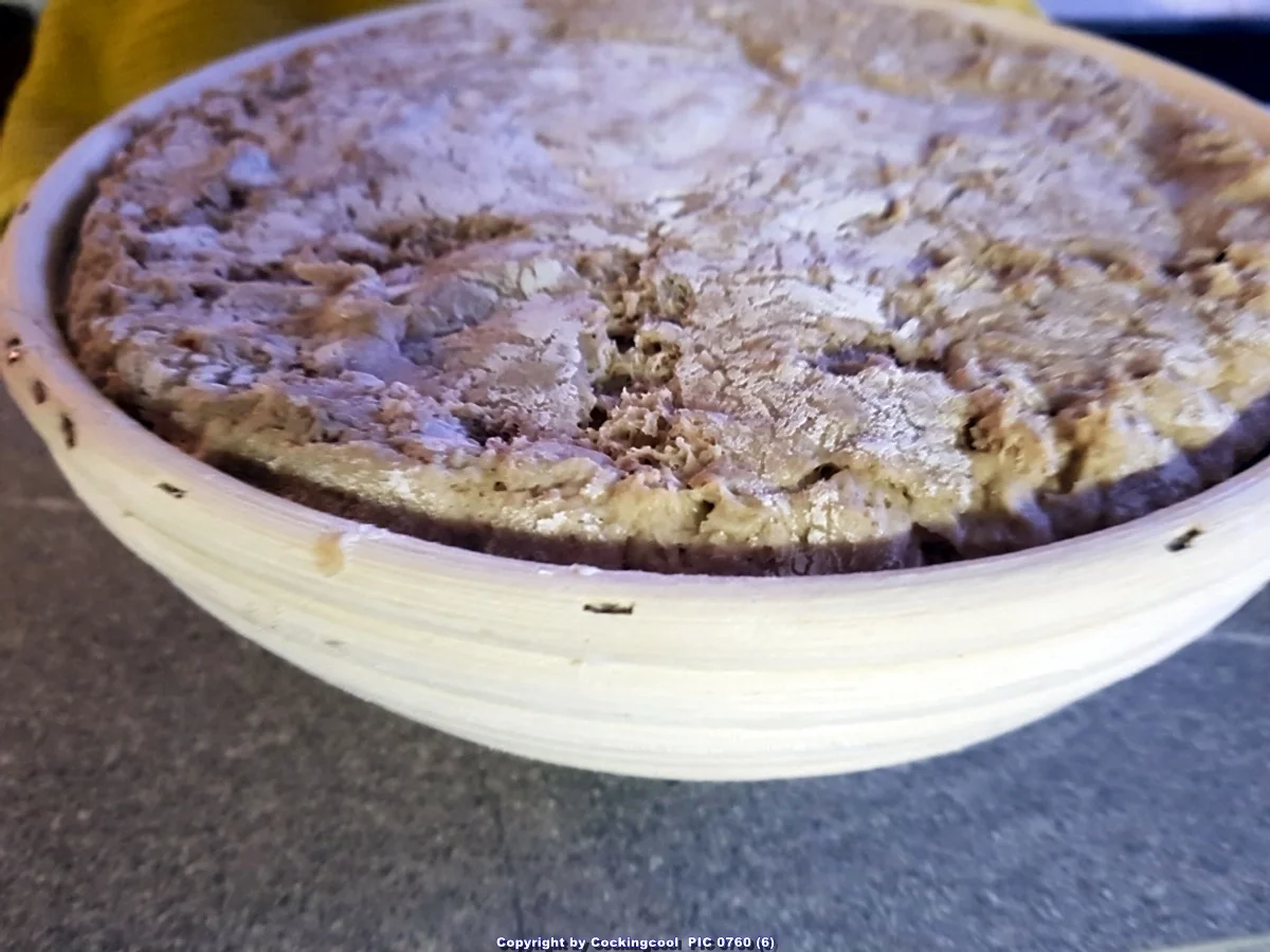 Roggenmischbrot (80% Roggenanteil) - Rezept - Bild Nr. 7089