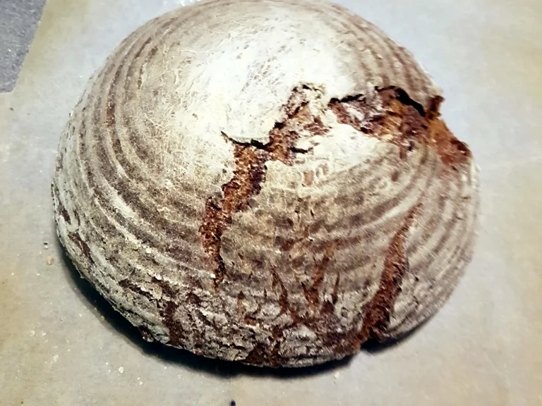 Roggenmischbrot (80% Roggenanteil) - Rezept - Bild Nr. 7091