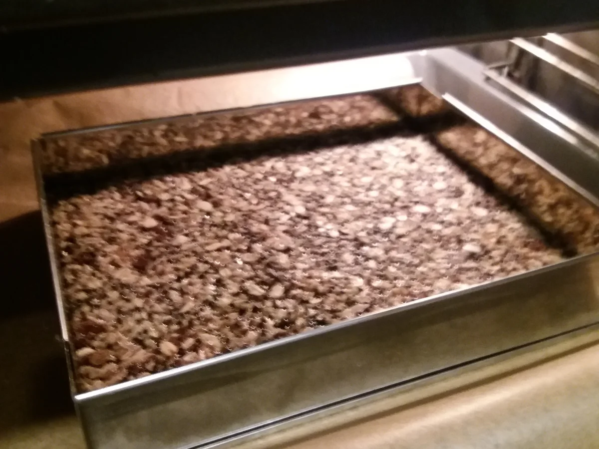 Müsli-Riegel - Rezept - Bild Nr. 7123