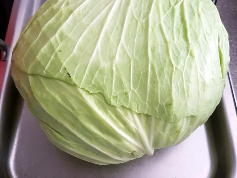 Rezept: Jaroma Kohlgemüse 2.0 Bild Nr. 7164 Jaroma Kohlgemüse 2.0 - Rezept - Bild Nr. 7164