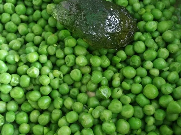 Kalbsfilet - Rezept - Bild Nr. 8