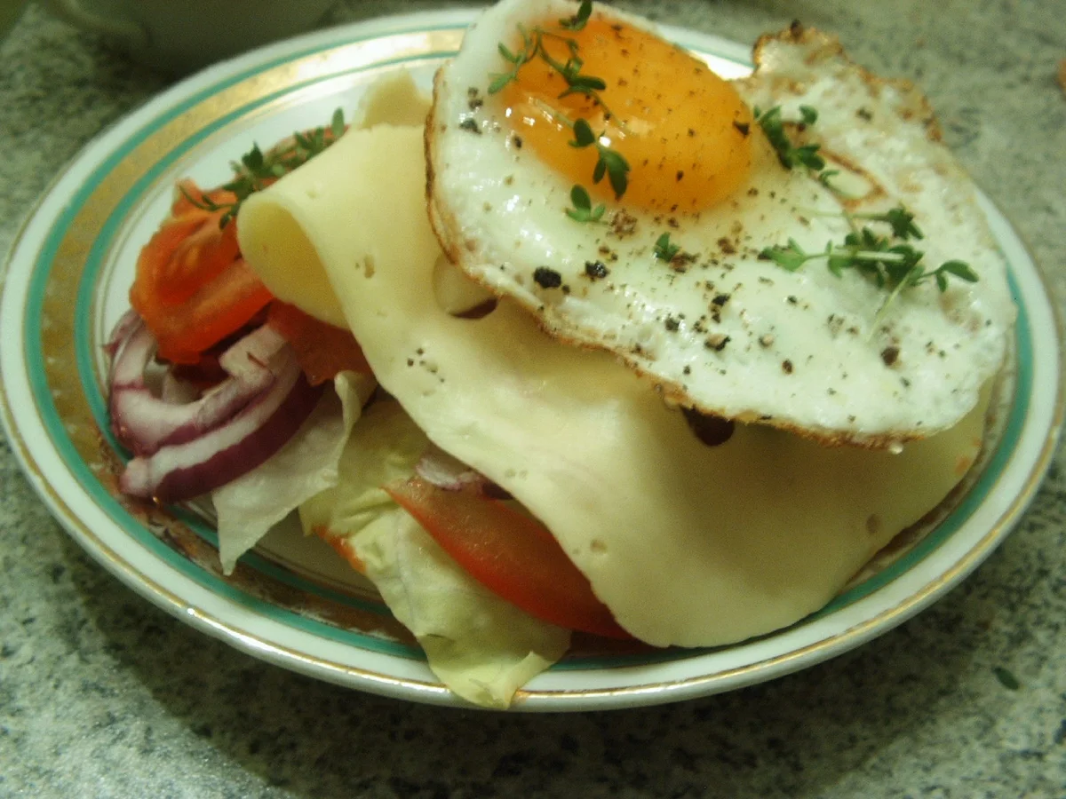 Ei-Burger - Rezept - Bild Nr. 7172