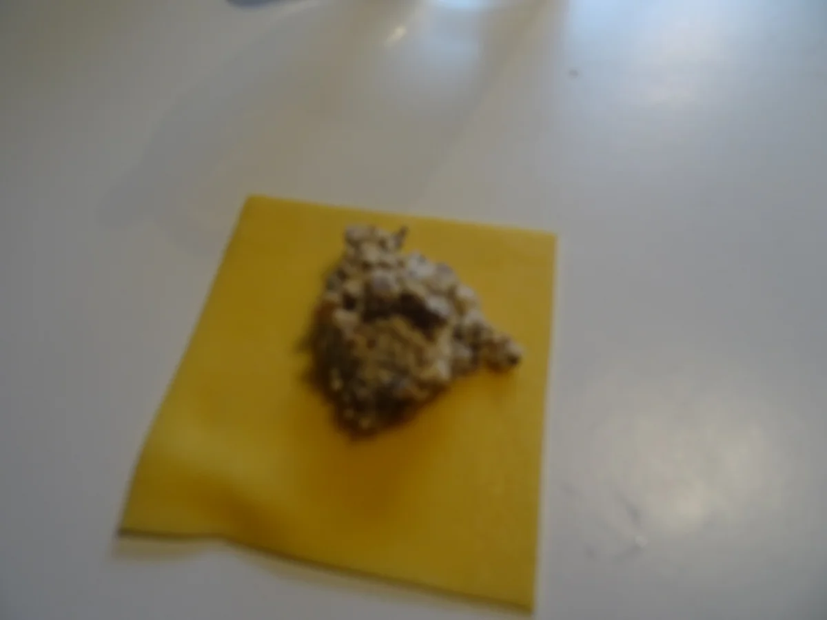 Tortelloni al funghi - Rezept - Bild Nr. 7176