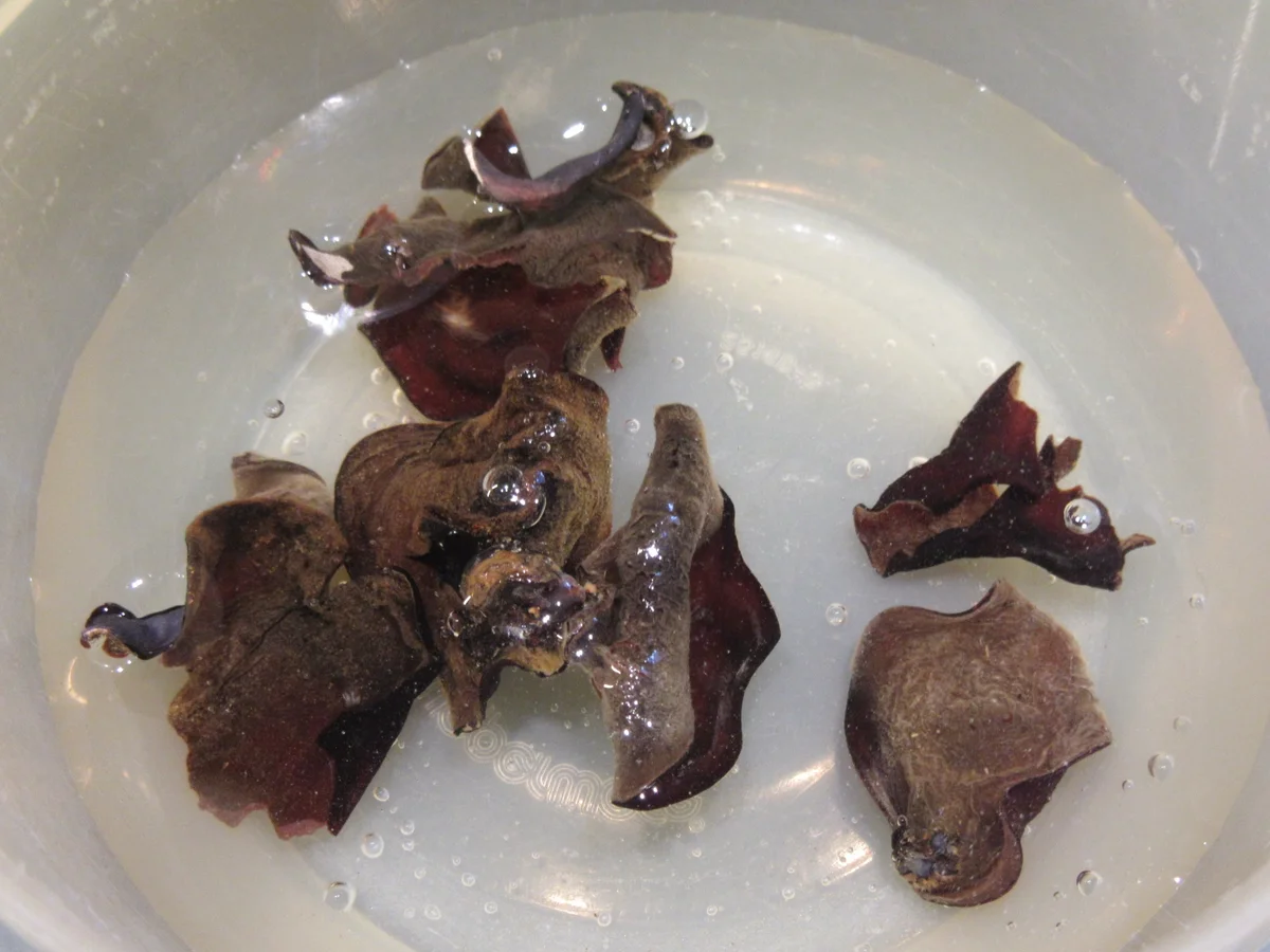 Rezept: Suppen: Rosenkohlsuppe mit Glasnudeln Bild Nr. 7206 Suppen: Rosenkohlsuppe mit Glasnudeln - Rezept - Bild Nr. 7206