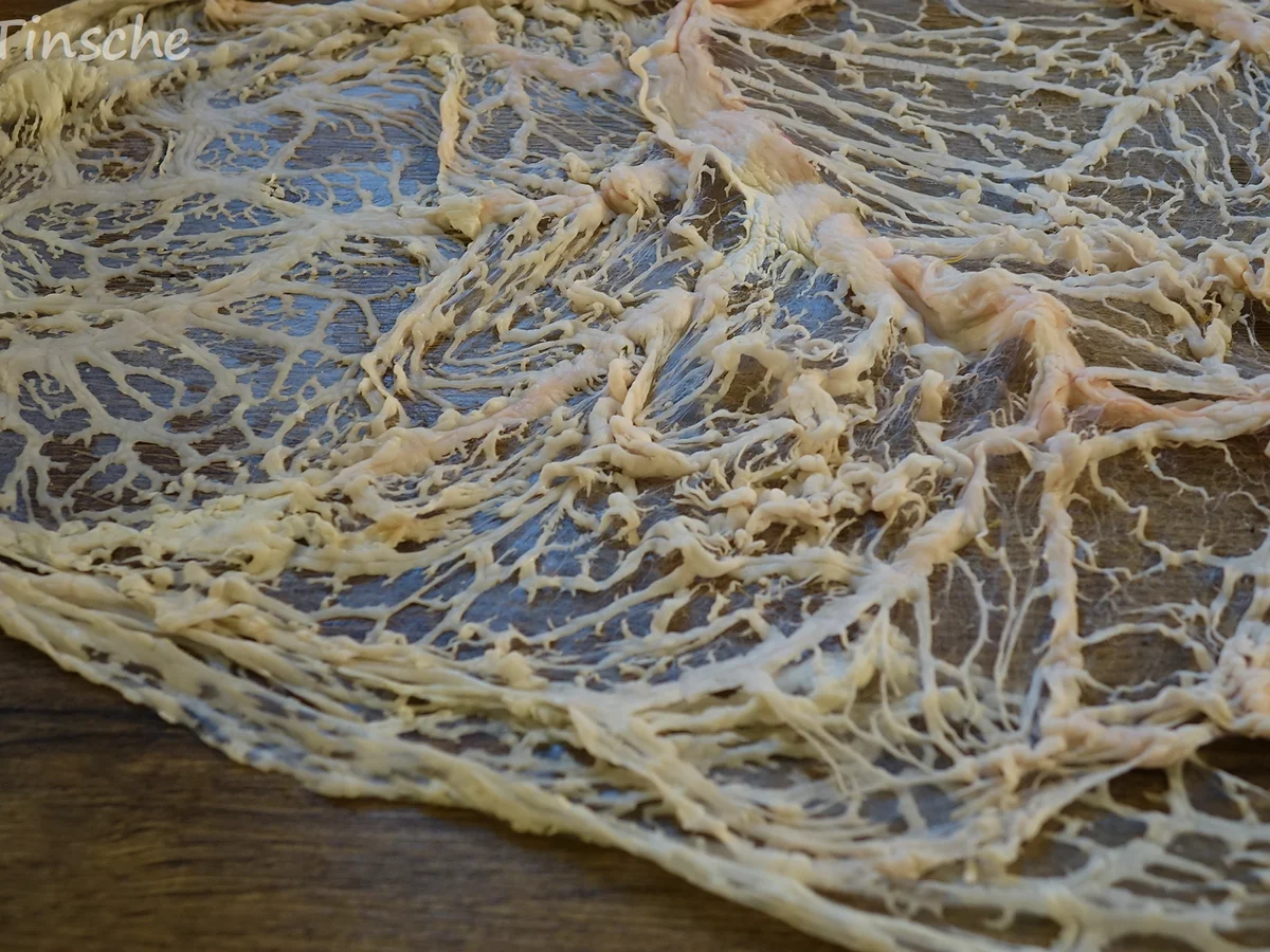 Schweinefilet im Edelpilzmantel - Rezept - Bild Nr. 7279