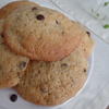 Chocolate Cookies - Rezept - Bild Nr. 7279