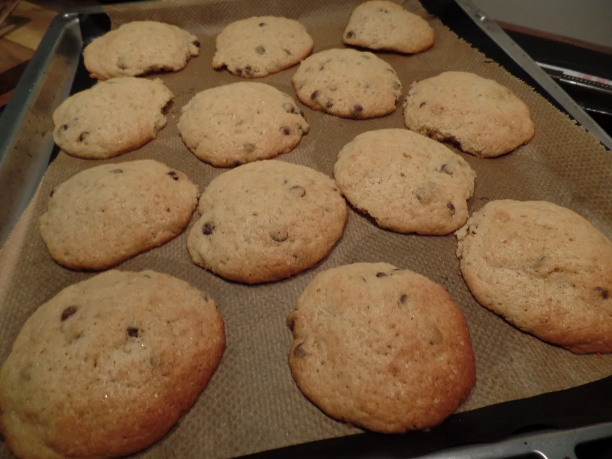 Chocolate Cookies - Rezept - Bild Nr. 7289