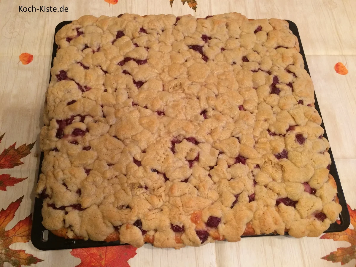 Kirsch-Kuchen mit besonderer Streuselschicht - Rezept - Bild Nr. 7292