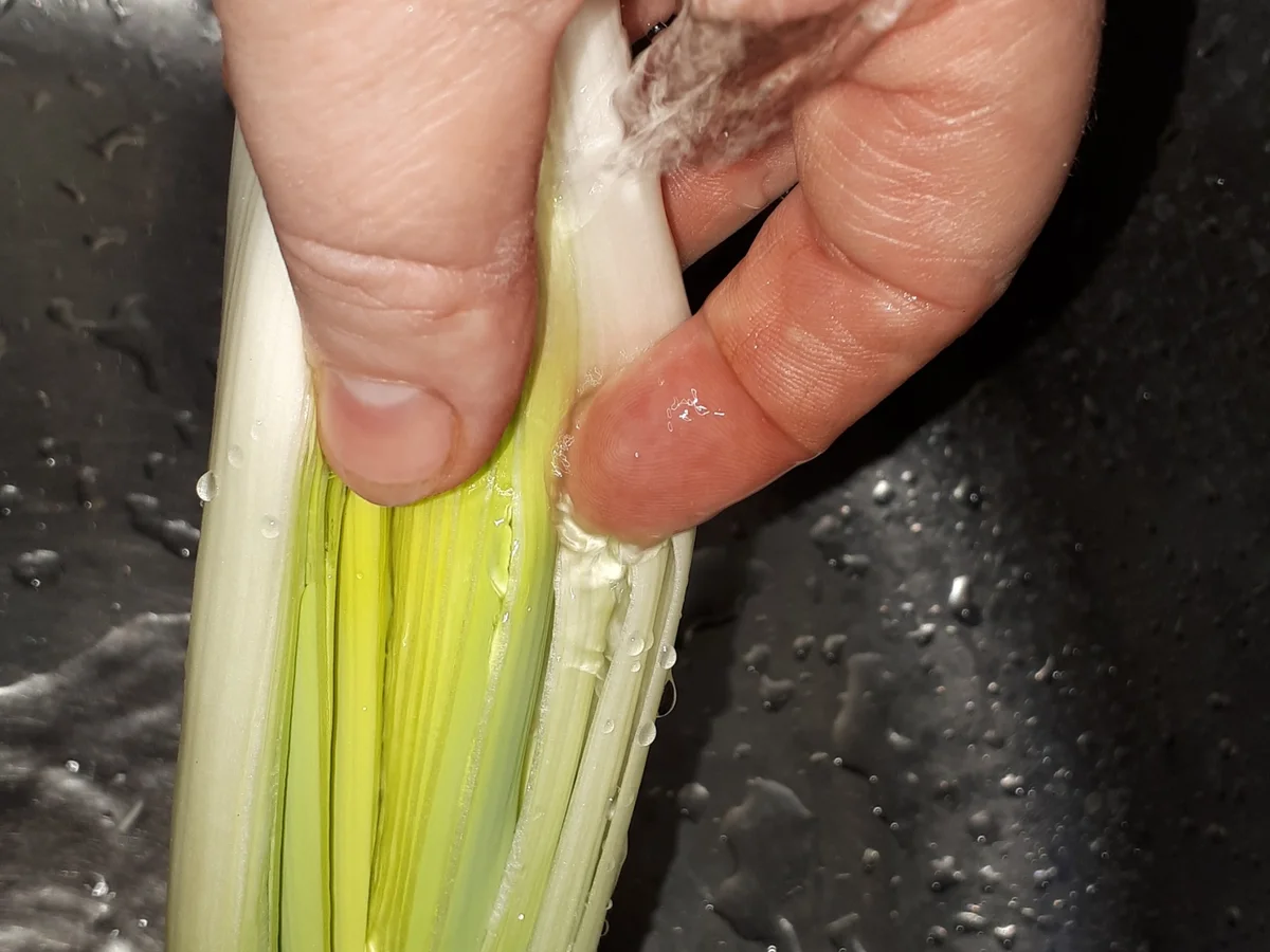 Rezept: Kicher-Schnitzel, Röstkartoffeln und Curry-Lauch Bild Nr. 7575 Kicher-Schnitzel, Röstkartoffeln und Curry-Lauch - Rezept - Bild Nr. 7575