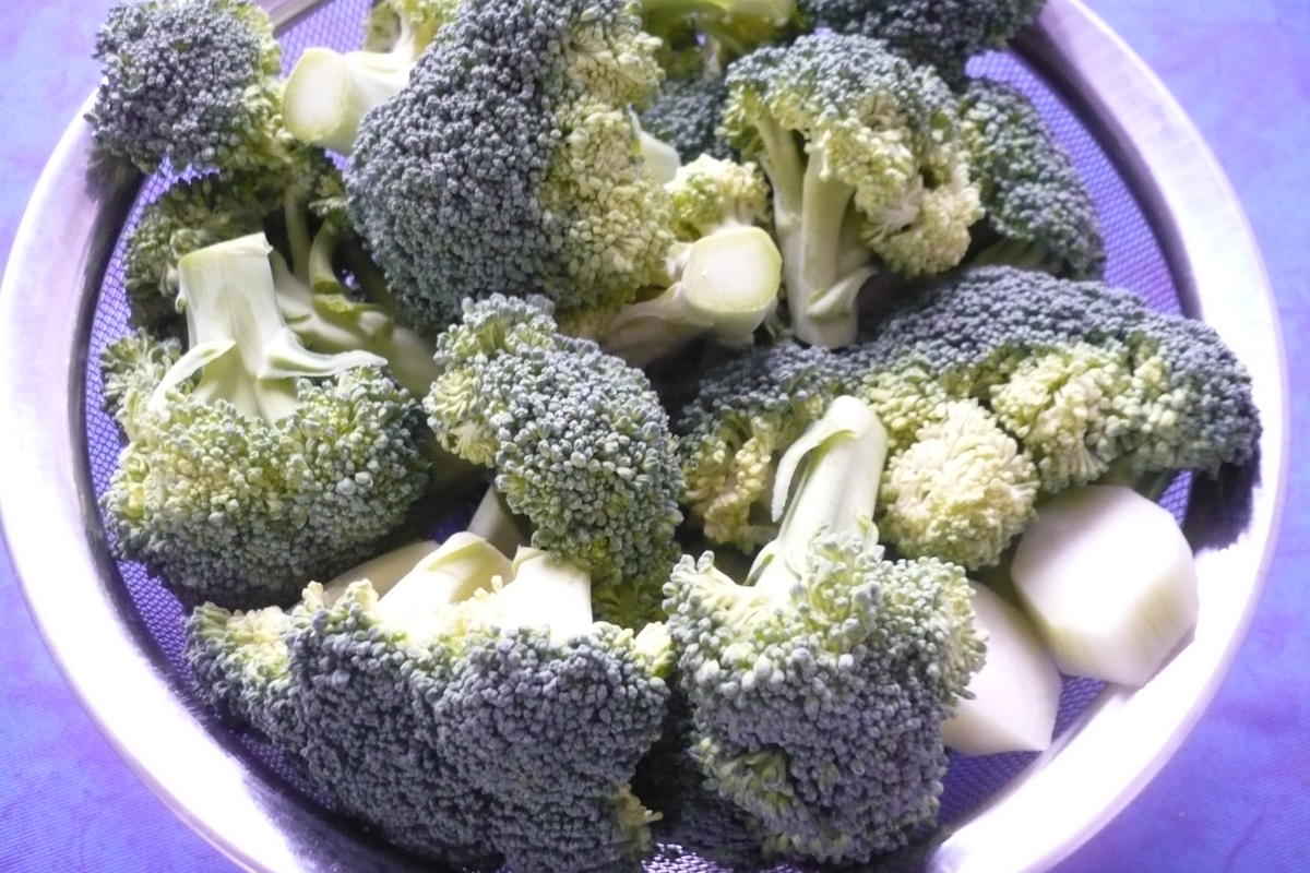 Broccoli - Nudelauflauf - Rezept - Bild Nr. 7572