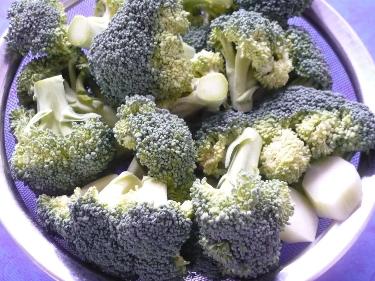 Broccoli - Nudelauflauf - Rezept - Bild Nr. 7572