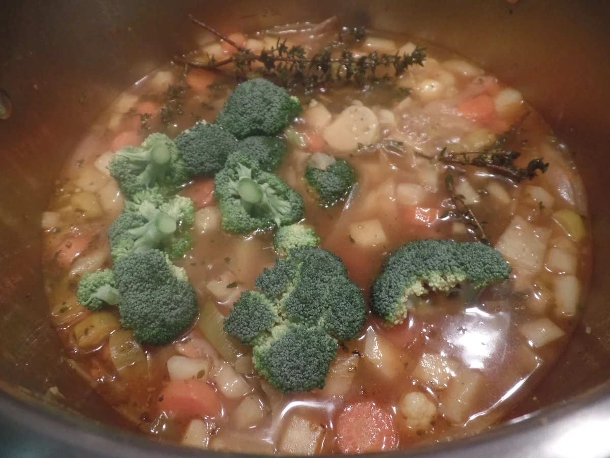 Rezept: Minestrone Bild Nr. 7541 Minestrone - Rezept - Bild Nr. 7541