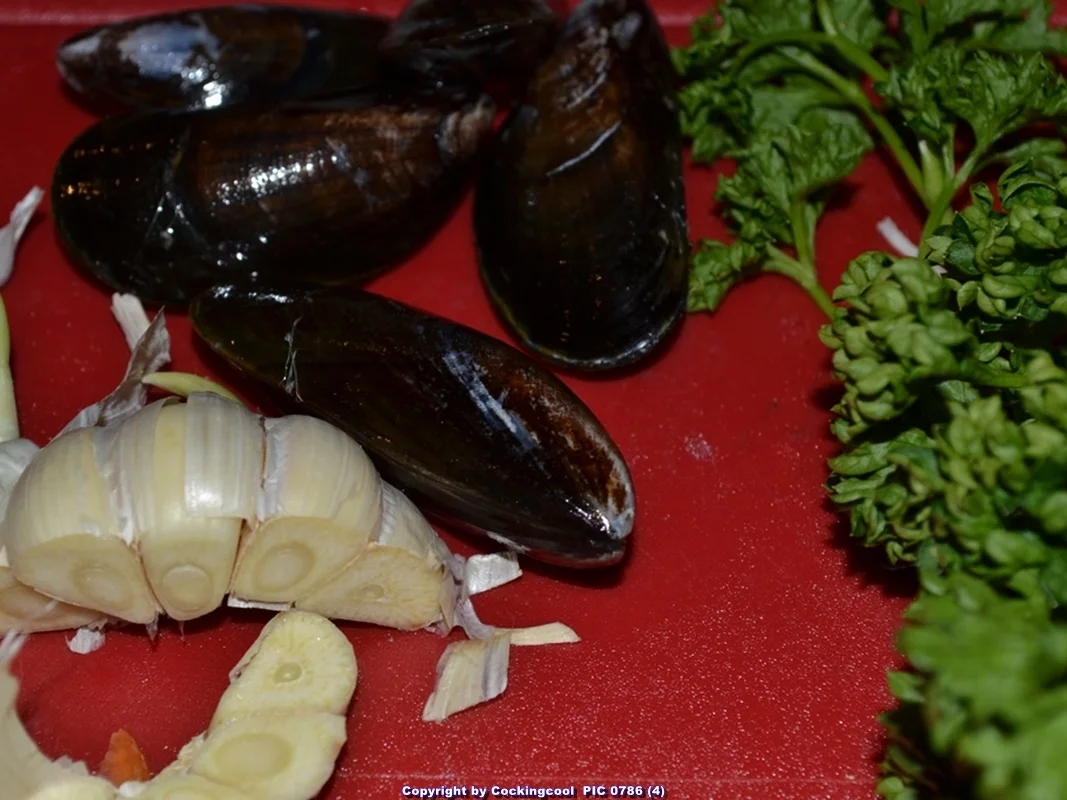 Miesmuscheln mit Weisswein und Knobi (rheinische Art) - Rezept - Bild Nr. 5