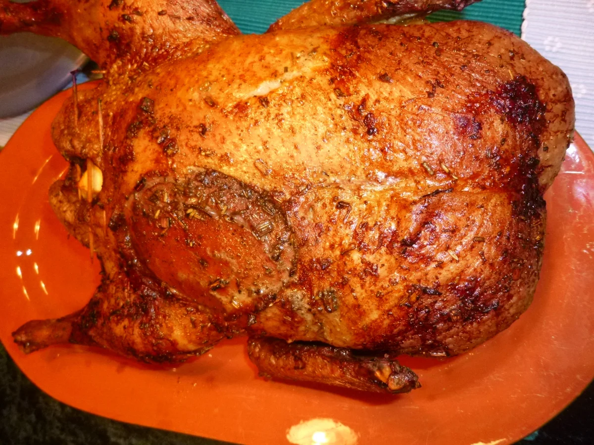 Ente im Backofen mit Apfel, Zwiebel und Orange - Rezept - Bild Nr. 7587