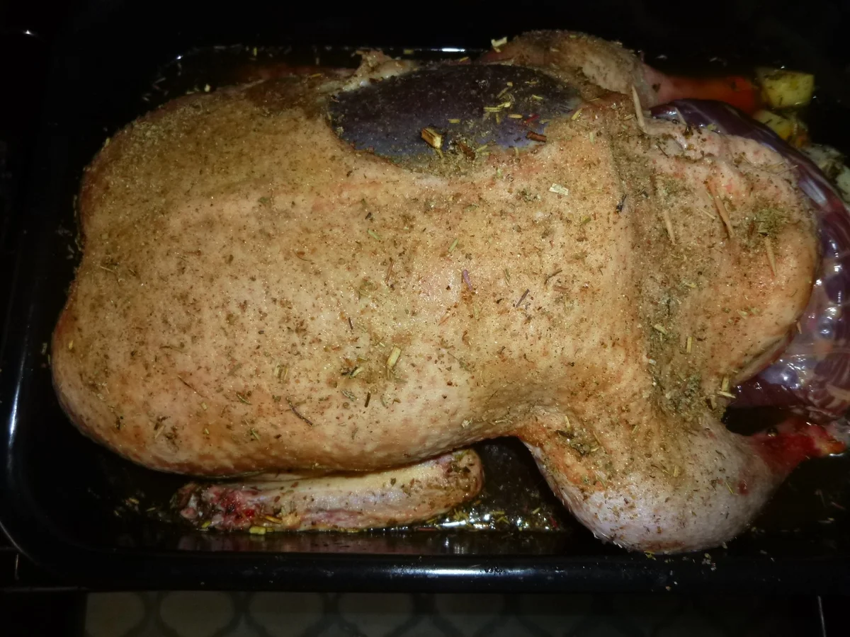 Ente im Backofen mit Apfel, Zwiebel und Orange - Rezept - Bild Nr. 7588