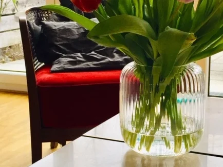 Rezept: Super saftiger Käsekuchen / Cheesecake ohne Boden - unkompliziert & endgeil Bild Nr. 7588 Super saftiger Käsekuchen / Cheesecake ohne Boden - unkompliziert & endgeil - Rezept - Bild Nr. 7588