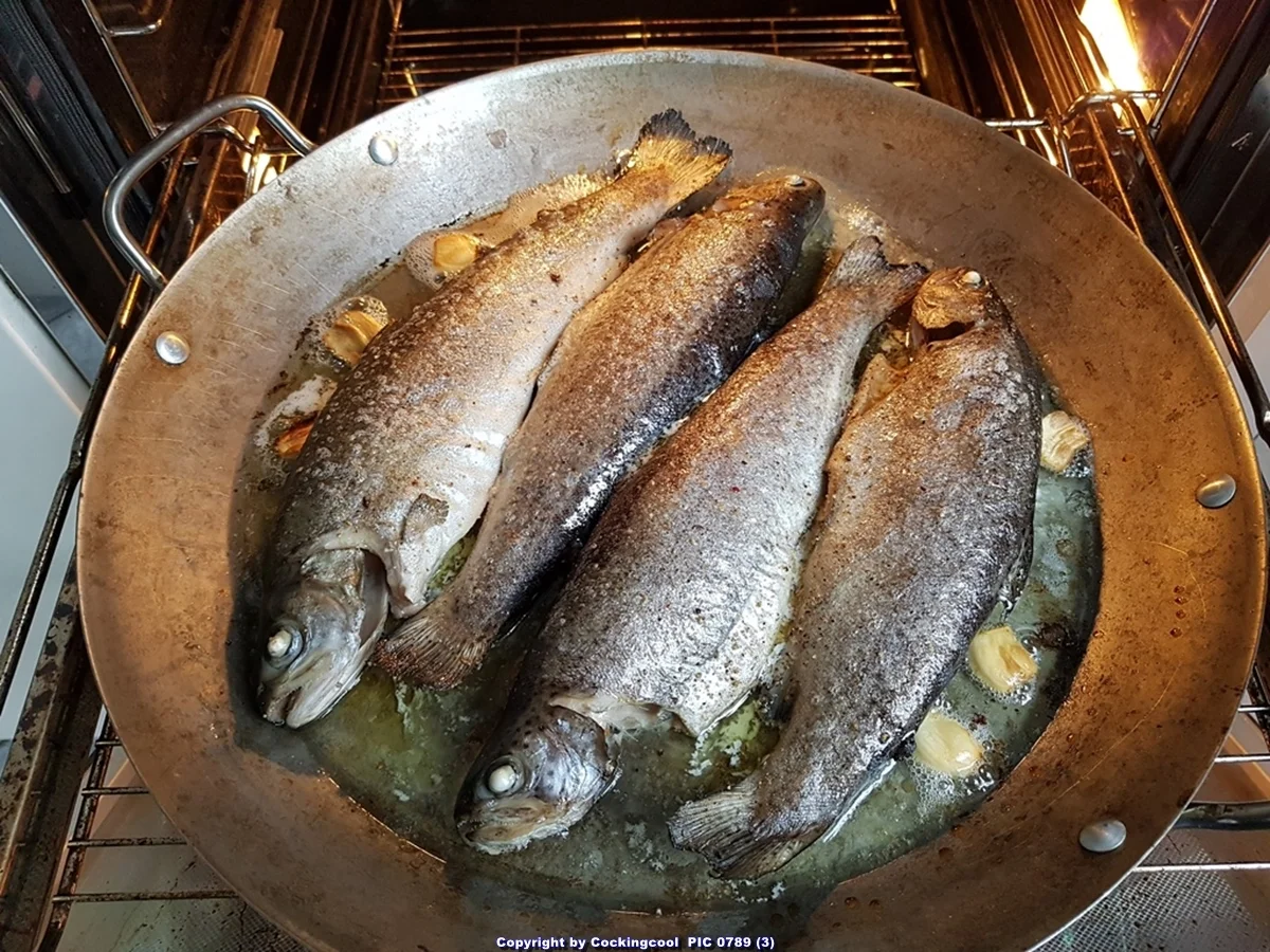 Forelle aus dem Ofen - Rezept - Bild Nr. 7596