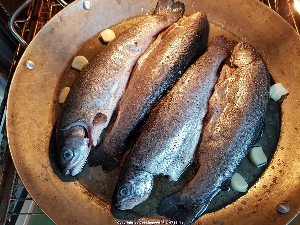 Forelle aus dem Ofen - Rezept - Bild Nr. 7597