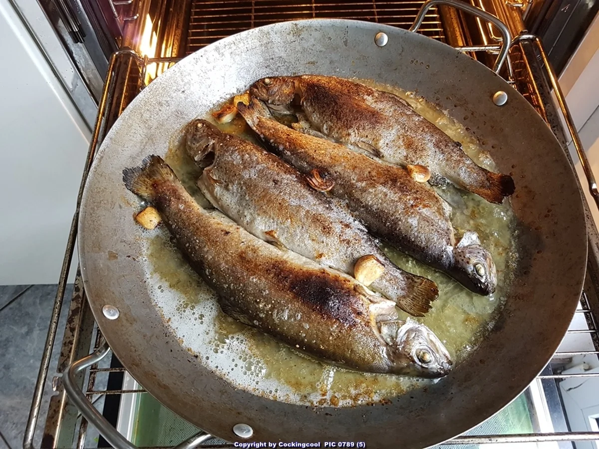 Forelle aus dem Ofen - Rezept - Bild Nr. 7598