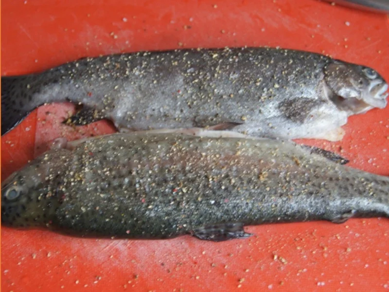 Regenbogenforelle mit Rote-Bete-Salat und gelben Drillingen - Rezept - Bild Nr. 4