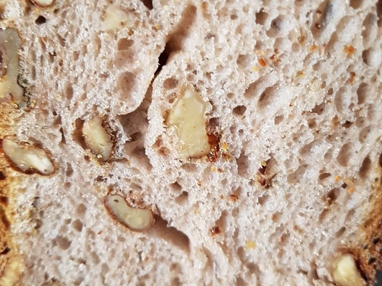 Oma Löffel`s Brote = Walnussbrot - Rezept - Bild Nr. 7606