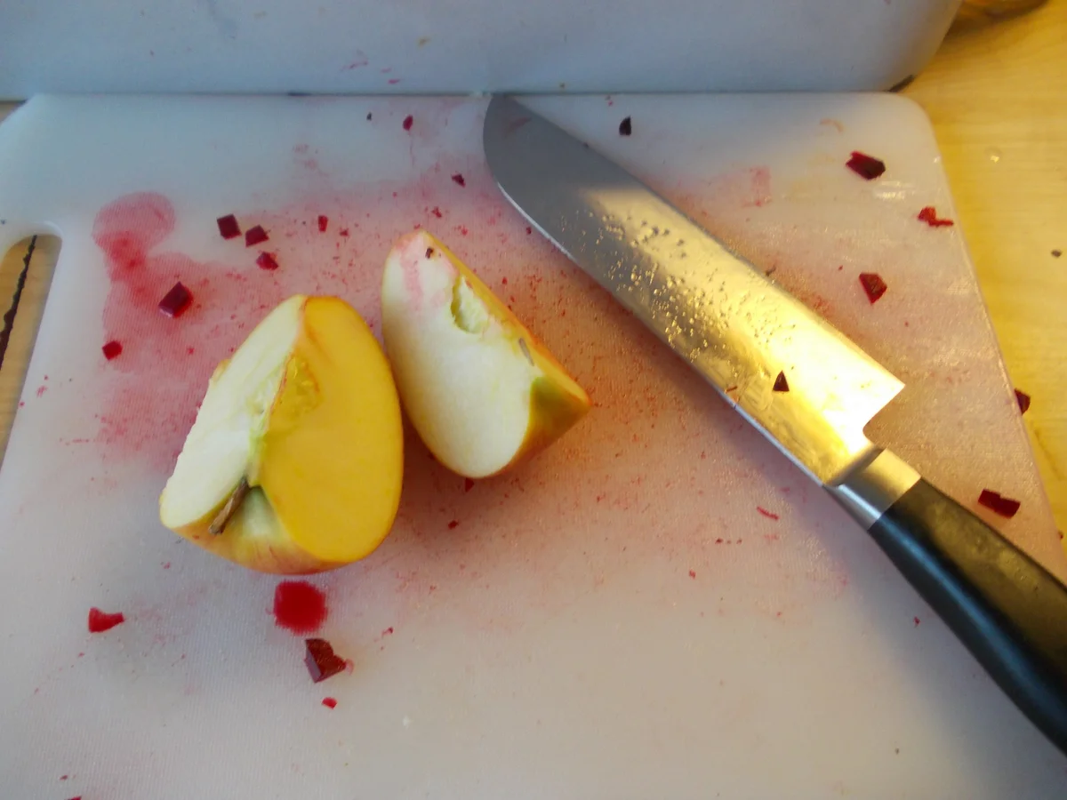 Mein roter Matjessalat - Rezept - Bild Nr. 7609