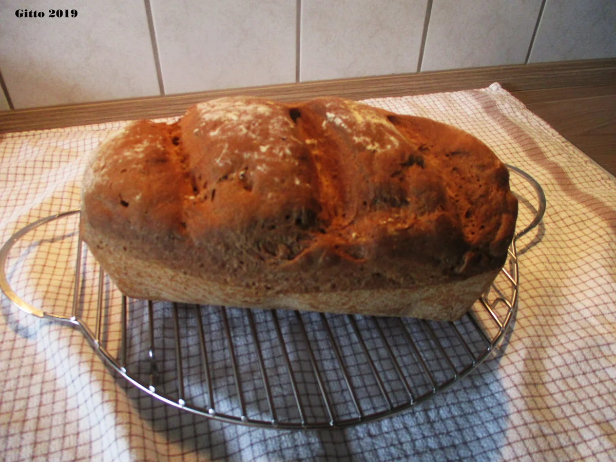 Rezept: Roggenmischbrot nach meiner Art Bild Nr. 3 Roggenmischbrot nach meiner Art - Rezept - Bild Nr. 3