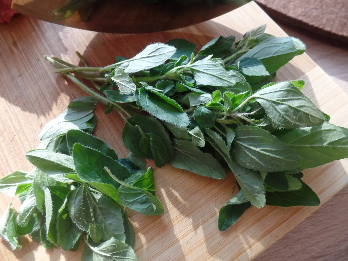 Rezept: Kürbis-Hackbällchen -Auflauf Bild Nr. 7624 Kürbis-Hackbällchen -Auflauf - Rezept - Bild Nr. 7624