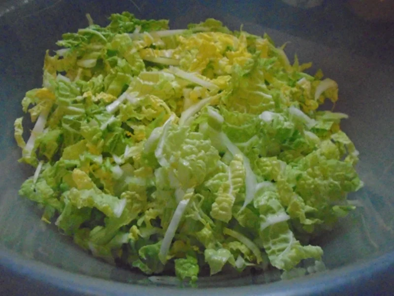 Rezept: Chinesische Bratnudeln mit Knusper-Schnitzelchen und Chinakohl Salat Bild Nr. 24 Chinesische Bratnudeln mit Knusper-Schnitzelchen und Chinakohl Salat - Rezept - Bild Nr. 24