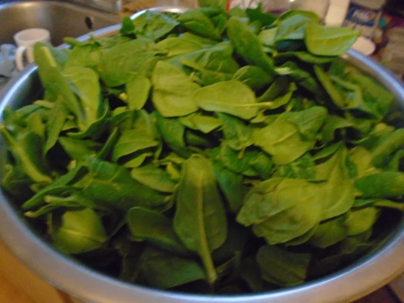 Rezept: Baby-Spinat mit Spiegelei und Kartoffeln Bild Nr. 4 Baby-Spinat mit Spiegelei und Kartoffeln - Rezept - Bild Nr. 4