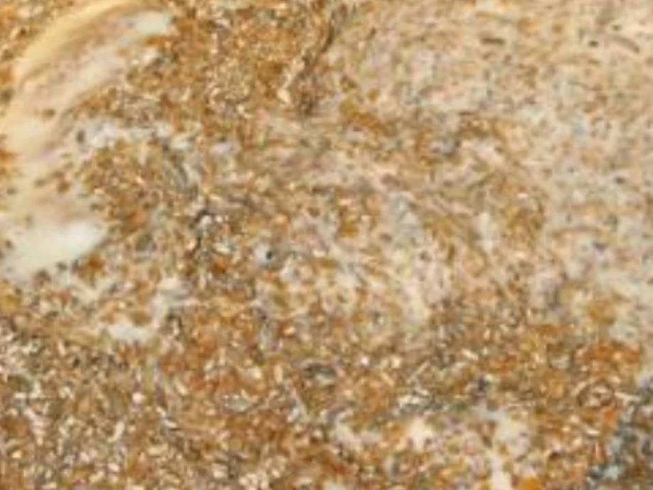 Schwarzbrot à la Biggi - Rezept - Bild Nr. 7617