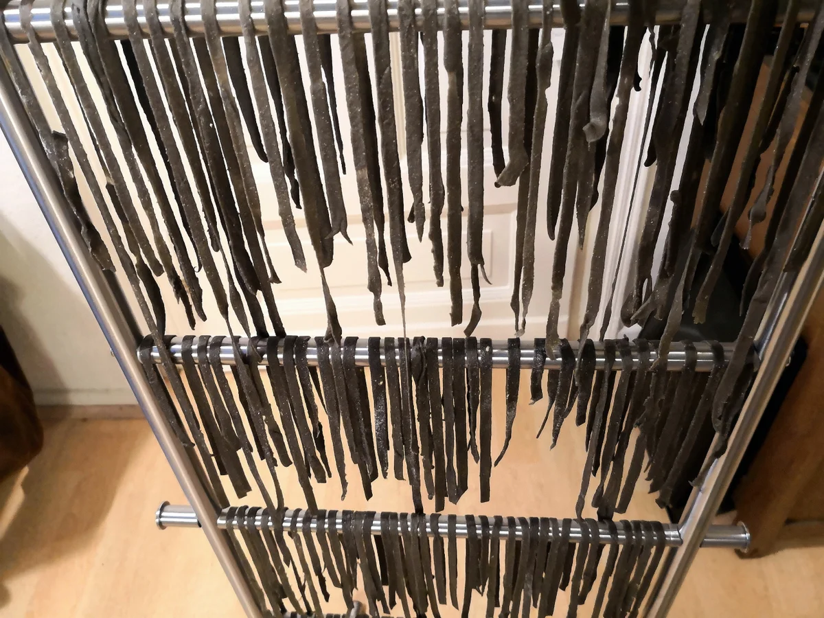 Rezept: Selbstgemachte Sepianudeln mit Meeresfrüchten Bild Nr. 7639 Selbstgemachte Sepianudeln mit Meeresfrüchten - Rezept - Bild Nr. 7639