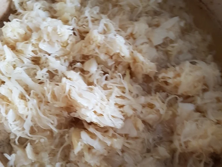 Haxe mit Zwiebelsosse - Rezept - Bild Nr. 7636