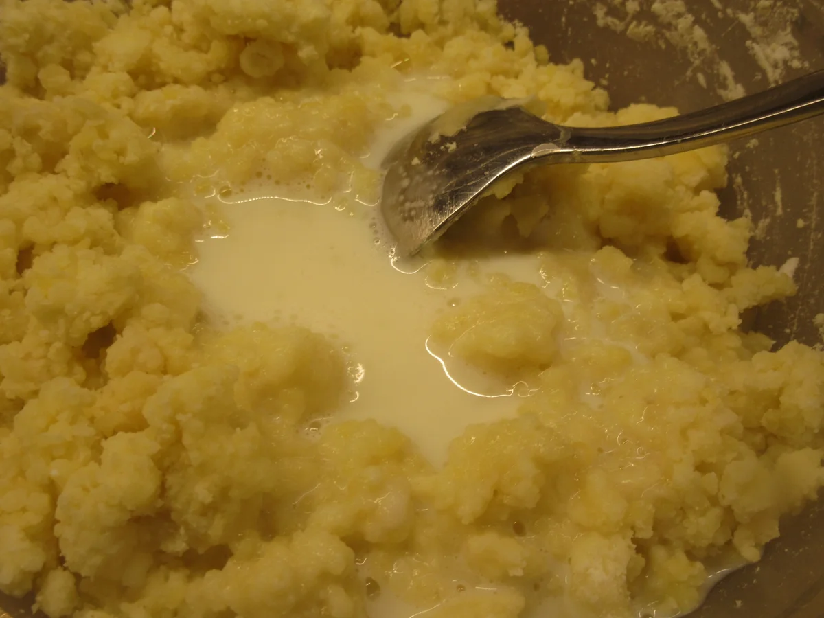 Knödel: "Halbseidene" - Rezept - Bild Nr. 7670