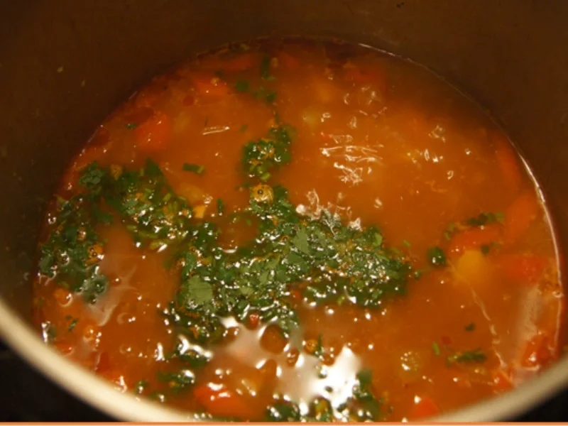 Schlankmachersuppe - Rezept - Bild Nr. 7691