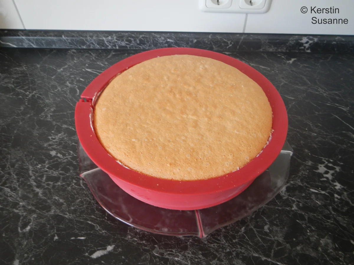 Quark-Sahne-Torte - Rezept - Bild Nr. 7708