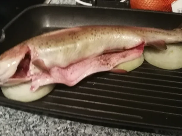 Rezept: FORELLE MAL ANDERS FÜR FAULE Bild Nr. 7711 FORELLE MAL ANDERS FÜR FAULE - Rezept - Bild Nr. 7711